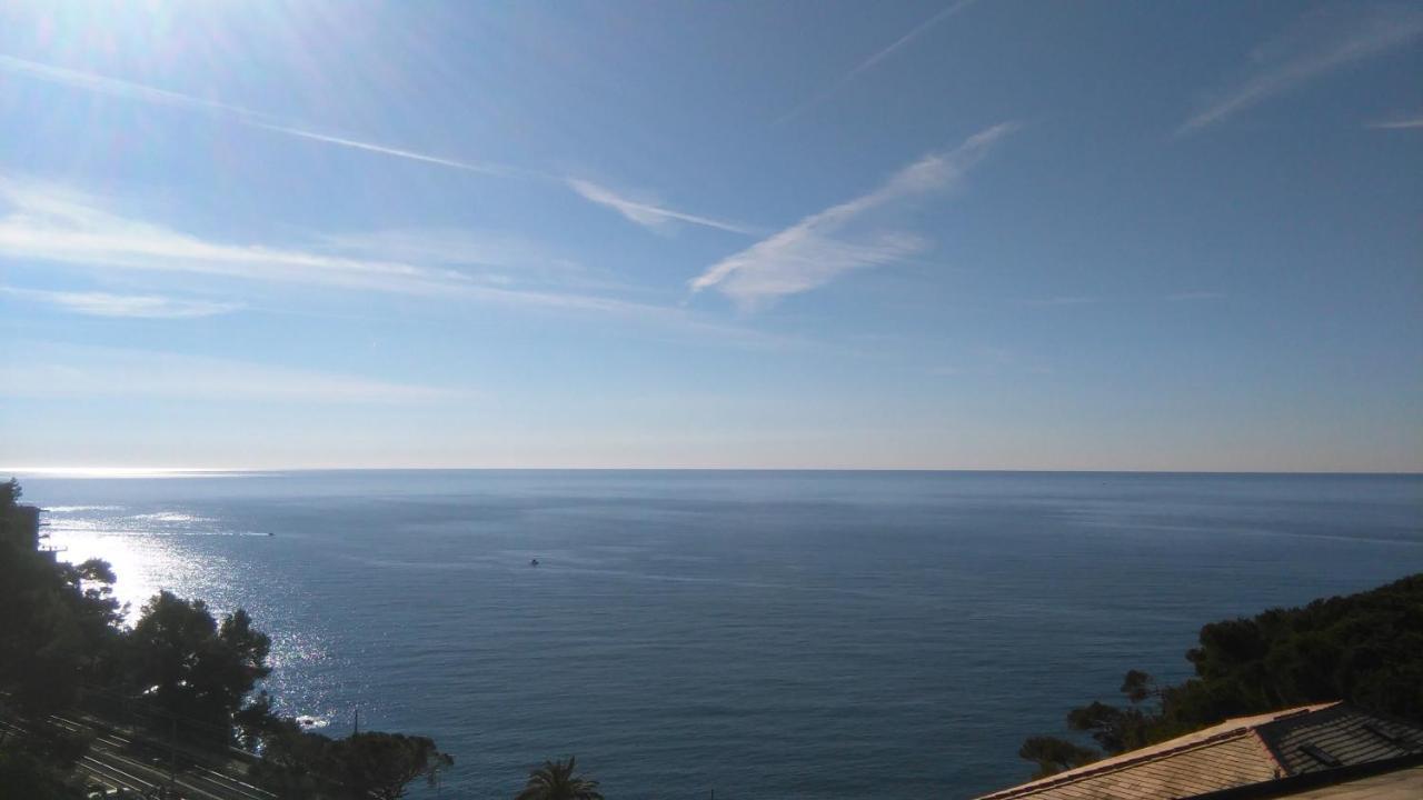 Mare E Vista Portofino - Sea And Portofino View Zoagli Εξωτερικό φωτογραφία