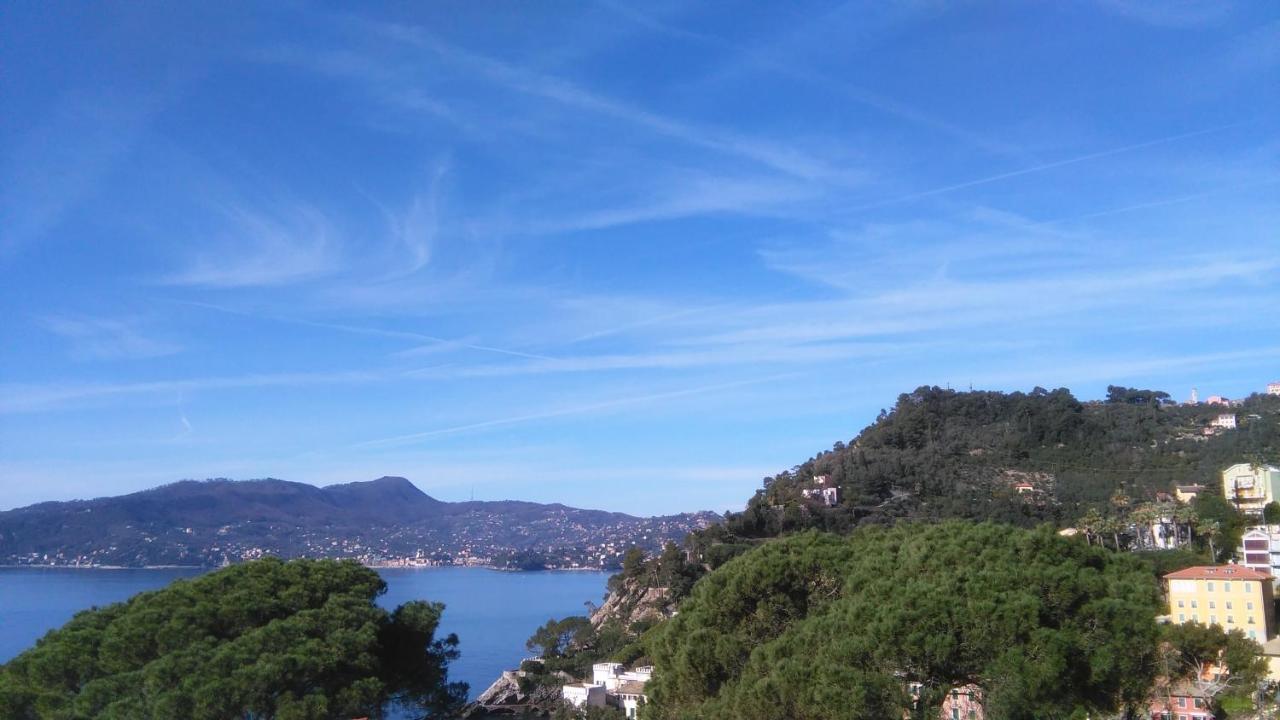 Mare E Vista Portofino - Sea And Portofino View Zoagli Εξωτερικό φωτογραφία