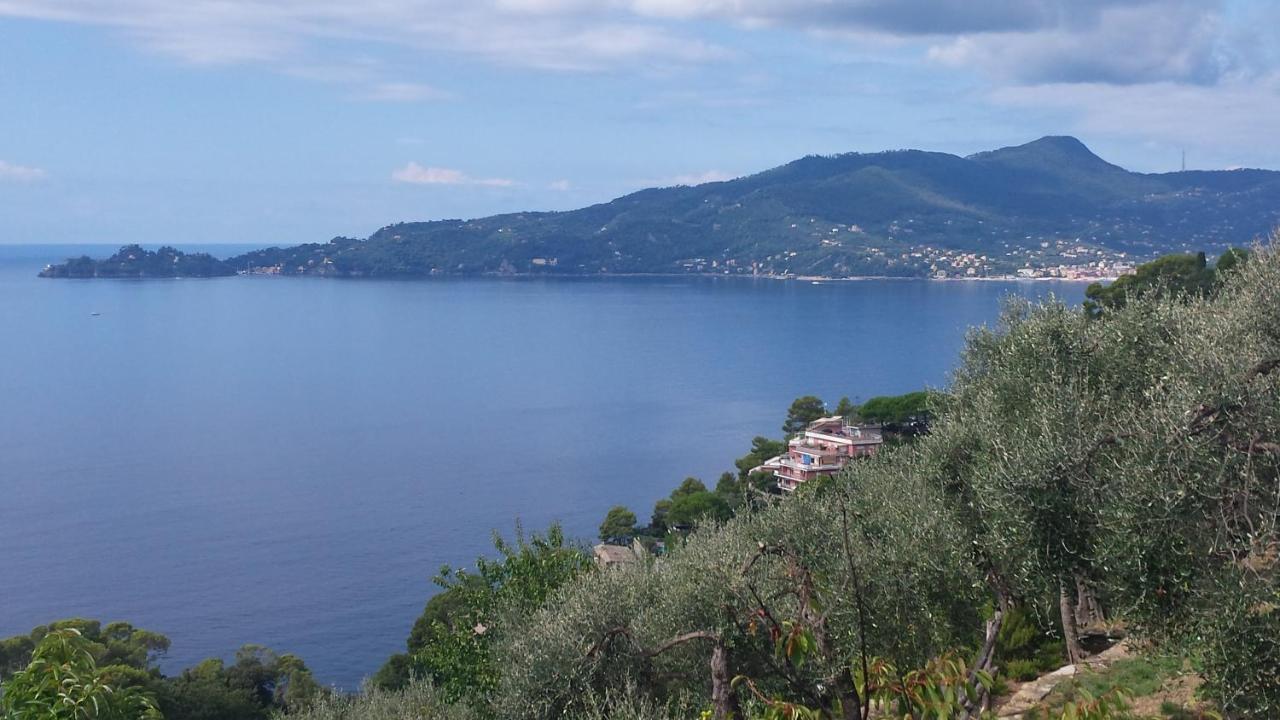 Mare E Vista Portofino - Sea And Portofino View Zoagli Εξωτερικό φωτογραφία