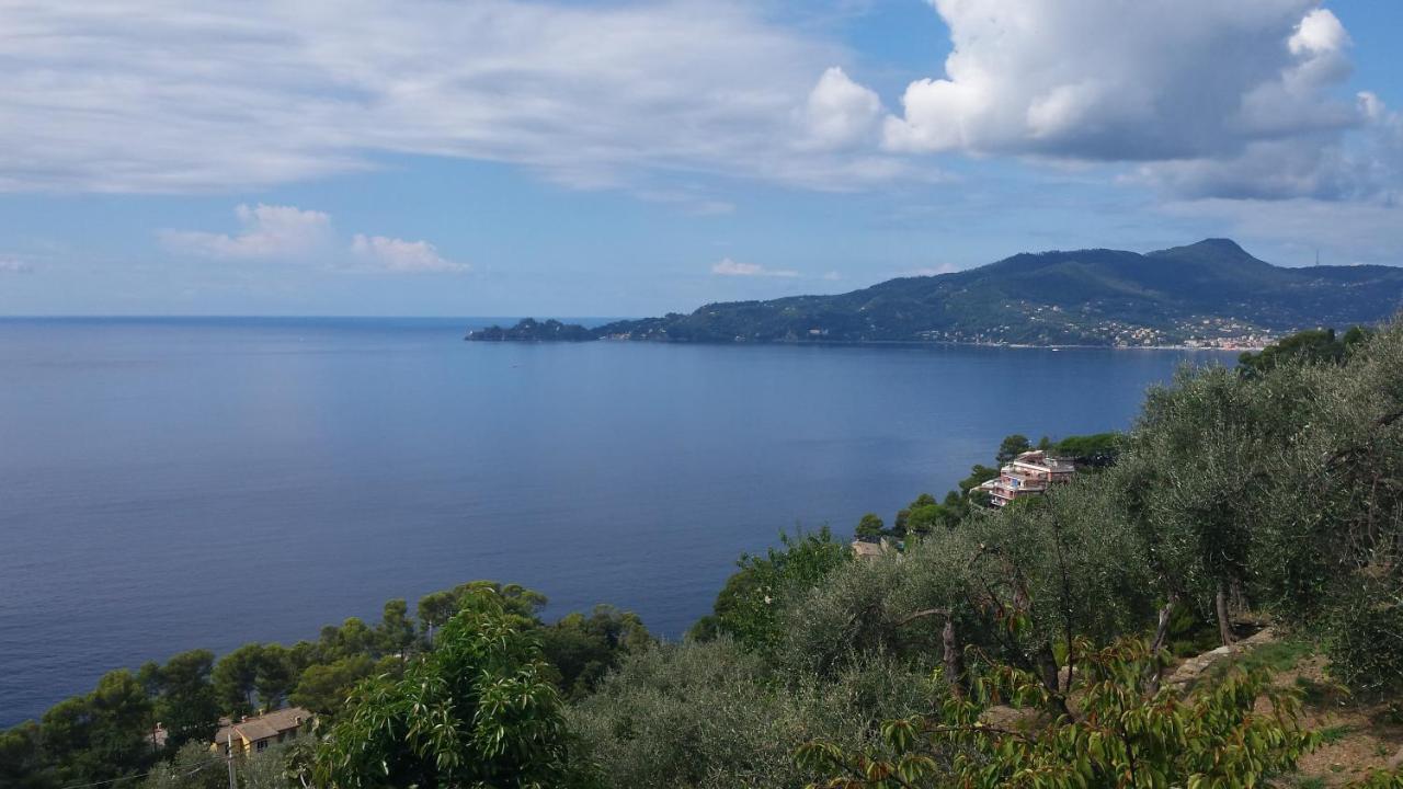 Mare E Vista Portofino - Sea And Portofino View Zoagli Εξωτερικό φωτογραφία