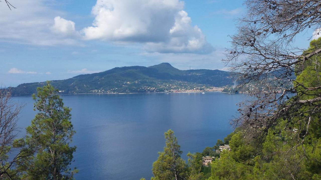 Mare E Vista Portofino - Sea And Portofino View Zoagli Εξωτερικό φωτογραφία