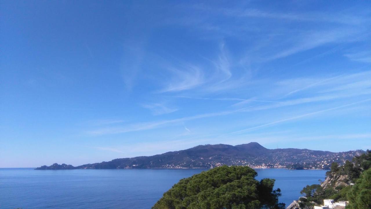 Mare E Vista Portofino - Sea And Portofino View Zoagli Εξωτερικό φωτογραφία