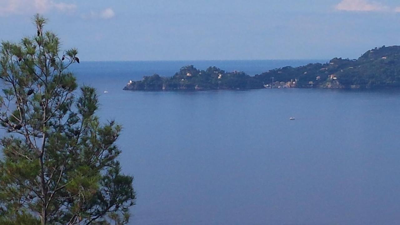 Mare E Vista Portofino - Sea And Portofino View Zoagli Εξωτερικό φωτογραφία